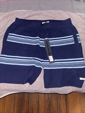 Paper Planes Men's Navy Blue Striped Athletic Shorts
